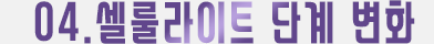 04.셀룰라이트 단계 변화