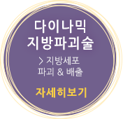 다이나믹 지방파괴술 - 지방세포 파괴 & 배출