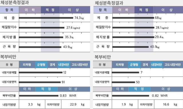 체성분측정결과/복부비만