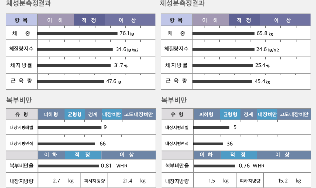 체성분측정결과/복부비만
