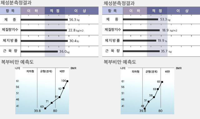 체성분측정결과/복부비만