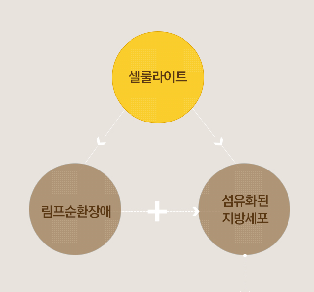 리포유스키니 과정