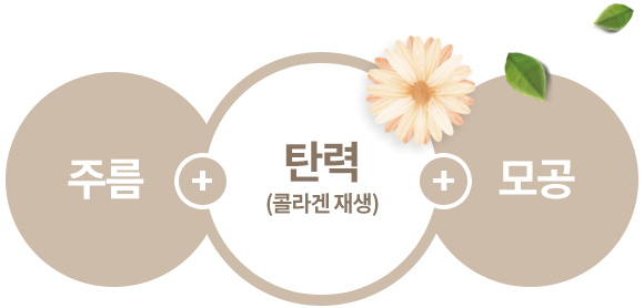 주름+탄력(콜라겐 재생)+모공