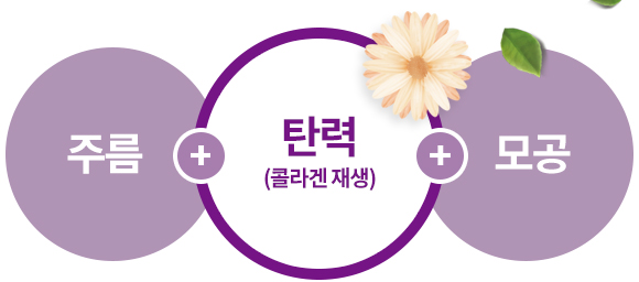 주름+탄력(콜라겐 재생)+모공